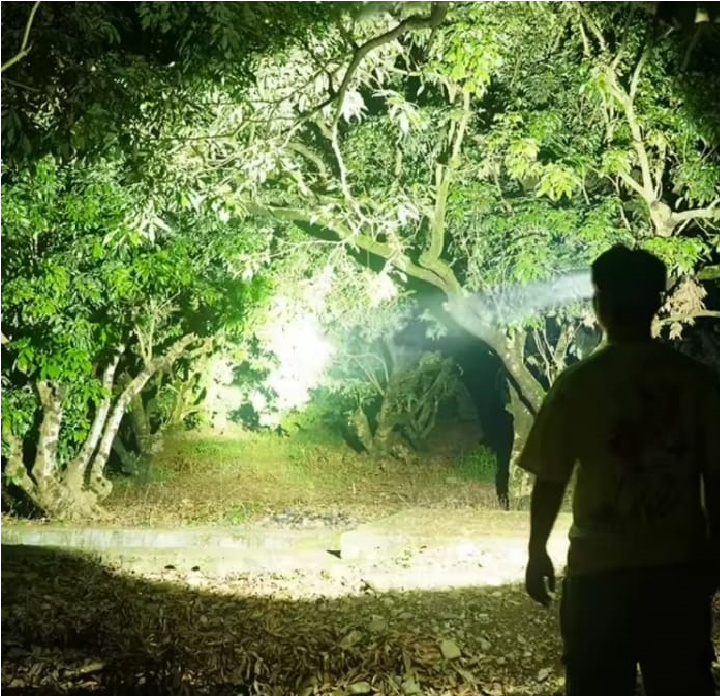 LED Headlamp with Rechargeable Battery, Waterproof